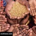 ازمة الغذاء