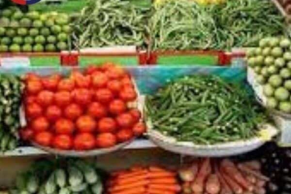 اسعار الخضروات