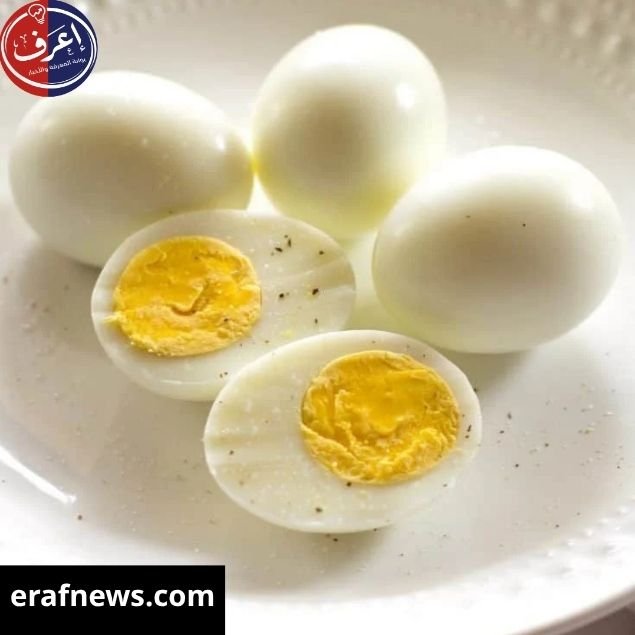 سعر البيض اليوم